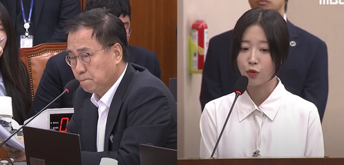 쯔양, 사이버렉카 피해자로 국감 출석…"아무것도 할 수 없이 두렵고 막막했다"