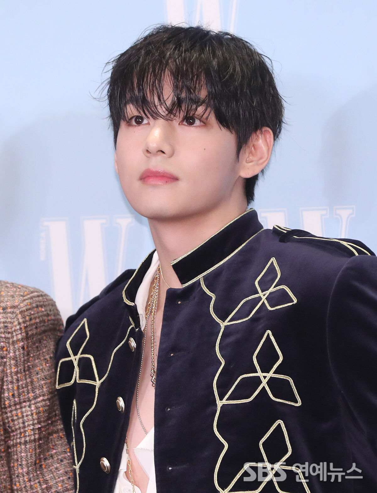 bts 뷔