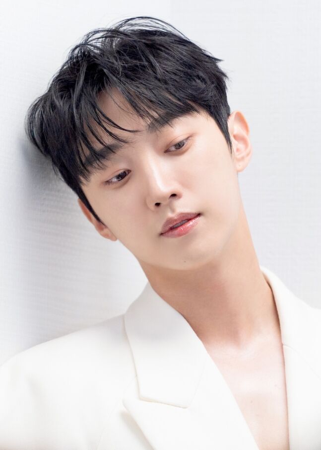 진영