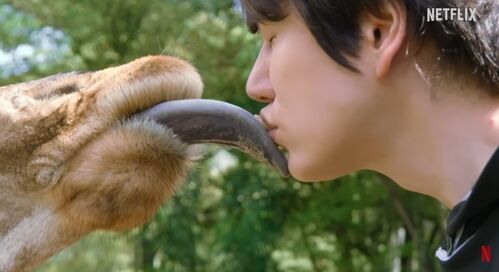 규현, 기린과 충격적인 입맞춤…'케냐 간 세끼', 다음 달 25일 넷플릭스 공개