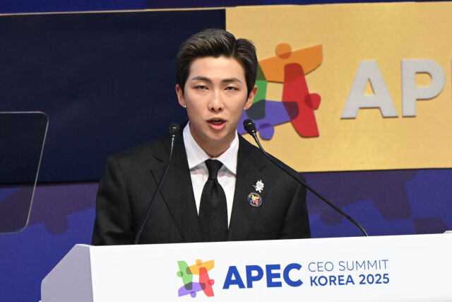 RM at the APEC CEO Summit
