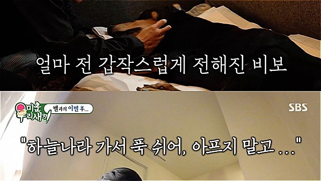 [스브스夜] '미우새' 배정남, "살다가 이 이상의 고통은 없을 것"···반려견 벨과 이별 후 '펫로스 증후군'