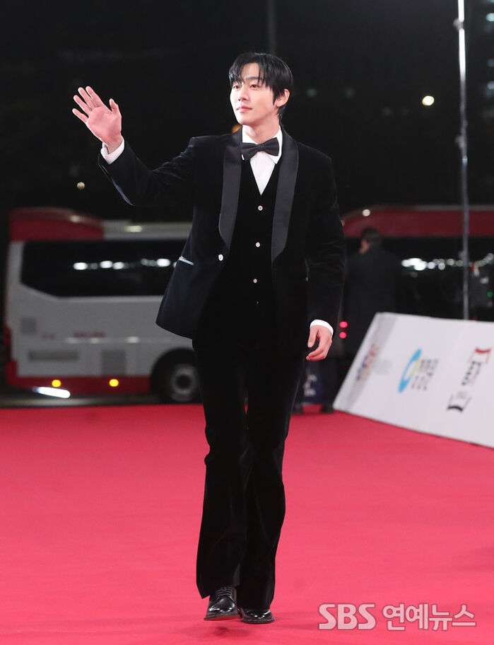 Ahn Hyo-seop Turns the Red Carpet Into a Runway