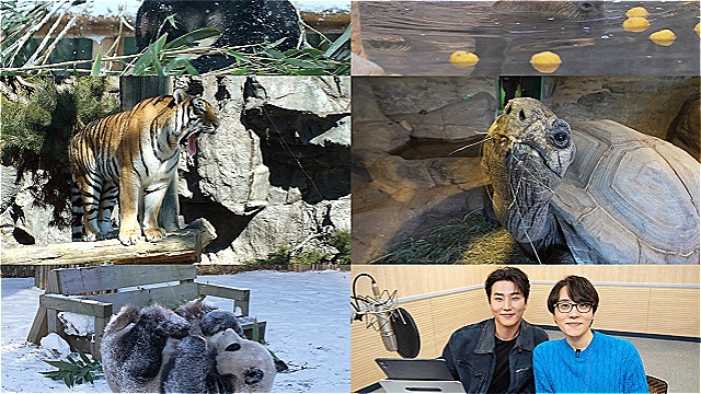 'TV동물농장', 동물들의 특별한 겨울나기 비법 공개&hellip;데이식스 영케이 목소리 출연
