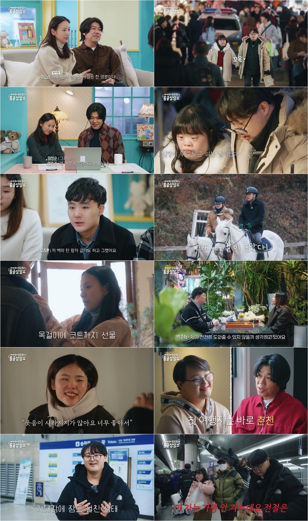 이효리  왜 이렇게 뭉클하고 아름답냐  감동…'몽글상담소', 동시간대 지상파 시청률 1위