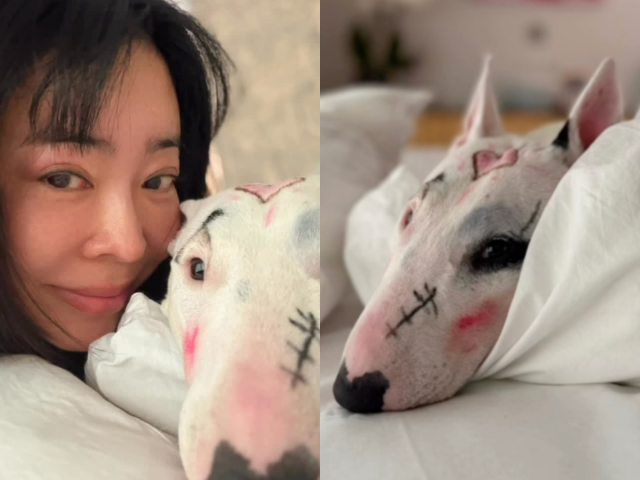 Lee Hye-young Quietly Deletes Video After Backlash Over Makeup Drawn on Her Dog's Face