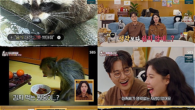 카이스트 이장원도 속았다…'TV동물농장'이 만든 AI 가짜 동물 영상, 동시간대 시청률 1위