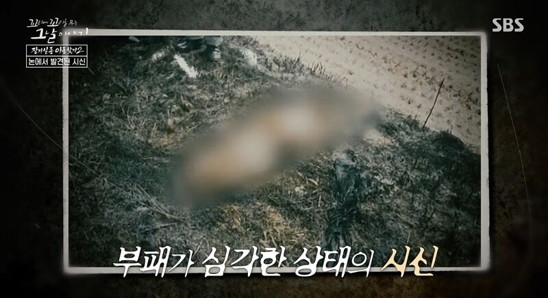 꼬꼬무 찐리뷰
