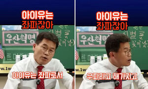 "아이유는 좌파잖아" 전한길, '폭싹' 통편집 주장 논란