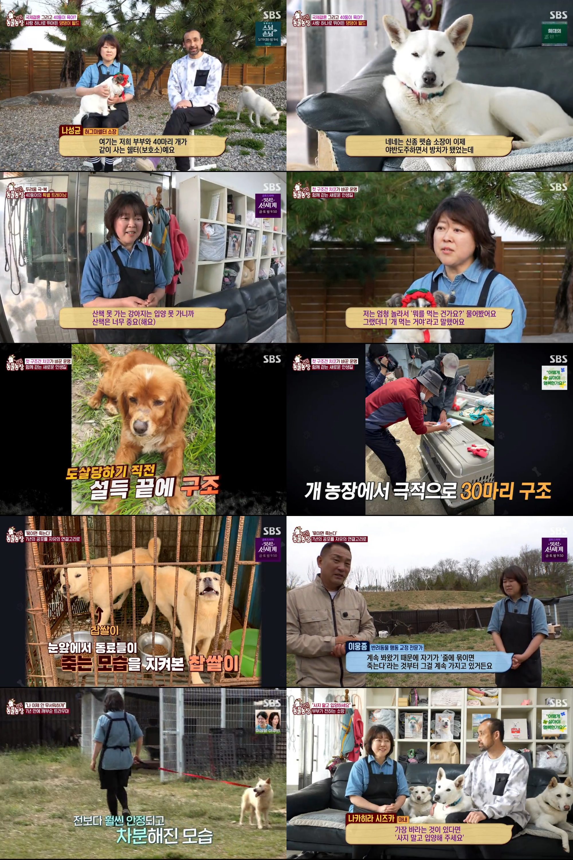 개농장 출신 '찹쌀이', 7년 만에 세상</font> 밖 첫걸음…'TV동물농장', 최고 시청률 5.5%