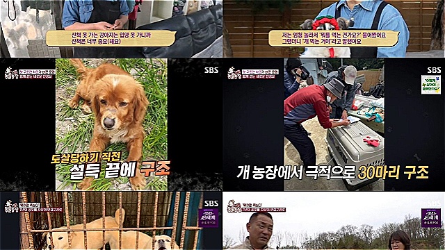 개농장 출신 '찹쌀이', 7년 만에 세상 밖 첫걸음&hellip;'TV동물농장', 최고 시청률 5.5%