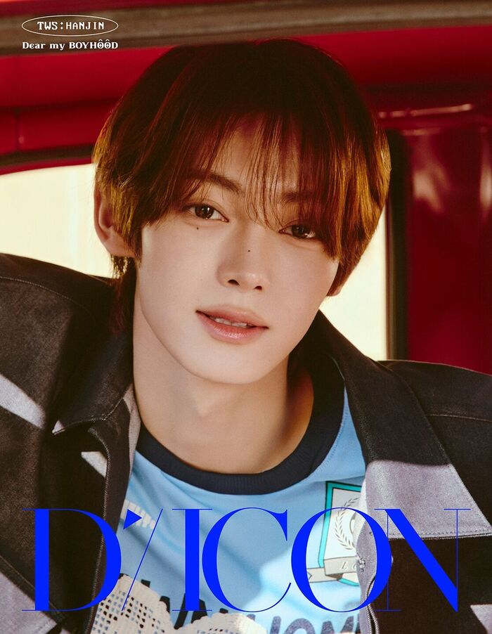 DICON TWS