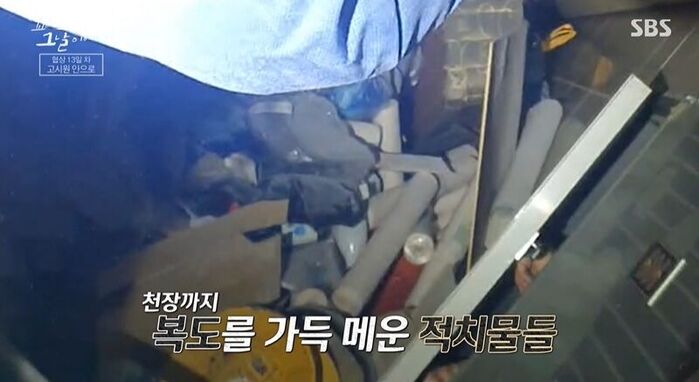 꼬꼬무 (사진=게티이미지코리아)