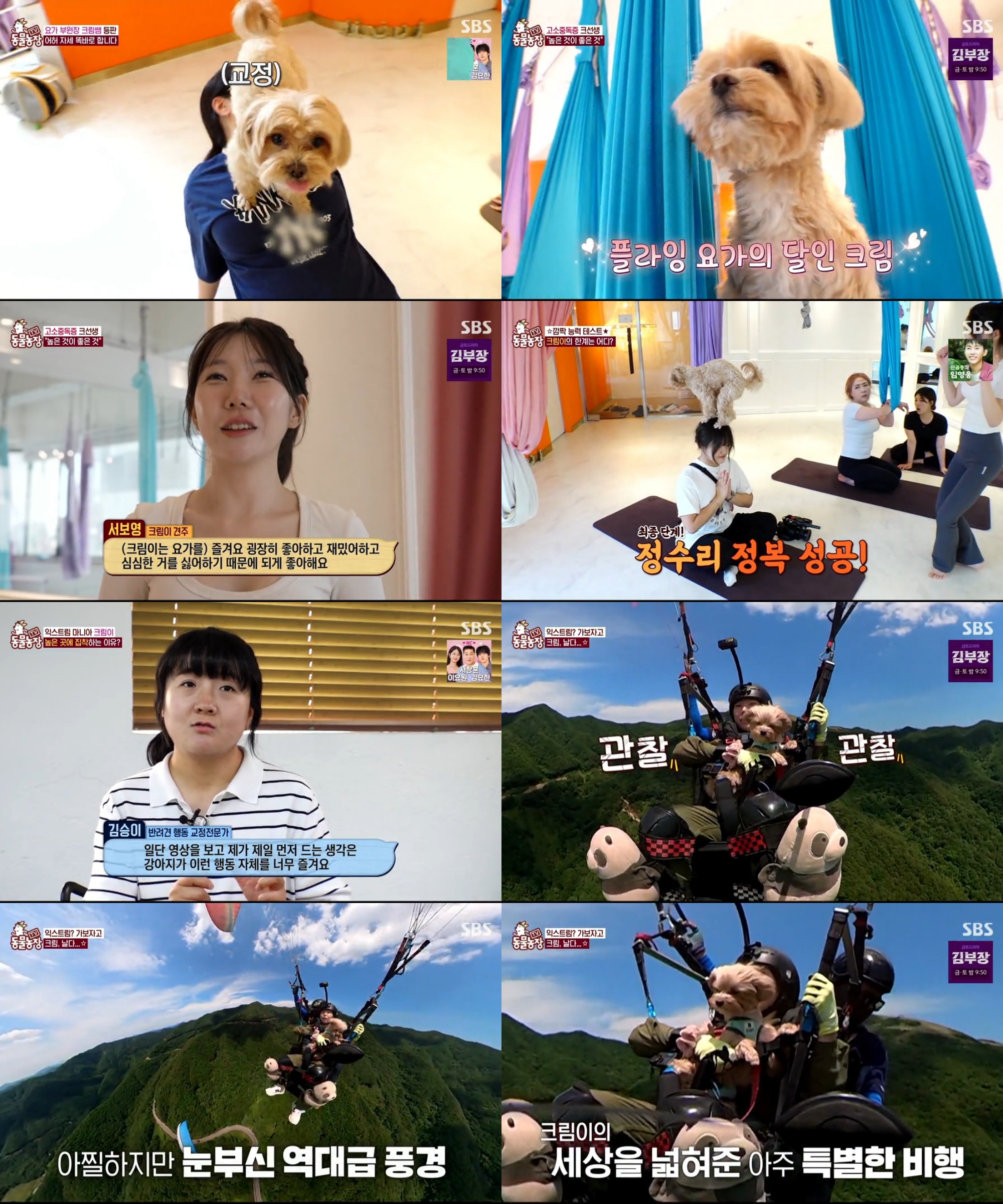 TV Animal Farm (Photo courtesy of Getty Images Korea)