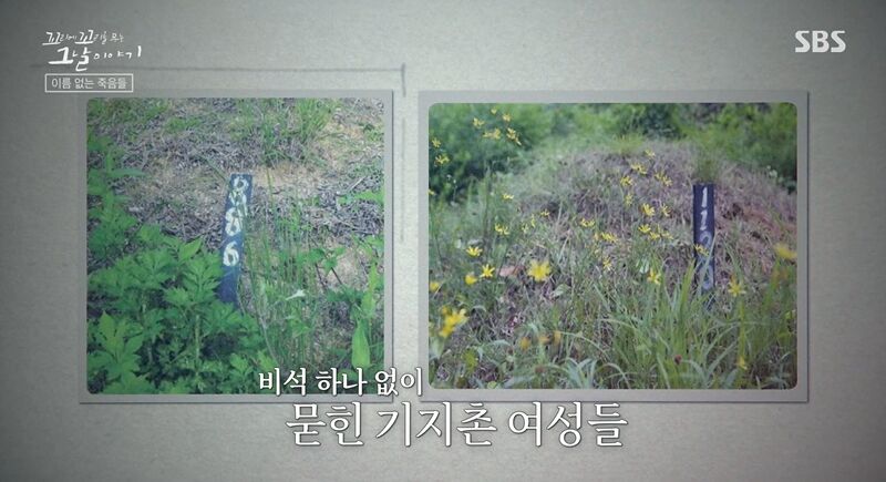 꼬꼬무 찐리뷰 (사진=게티이미지코리아)