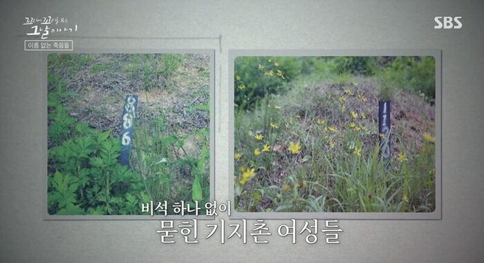 꼬꼬무 찐리뷰 (사진=게티이미지코리아)