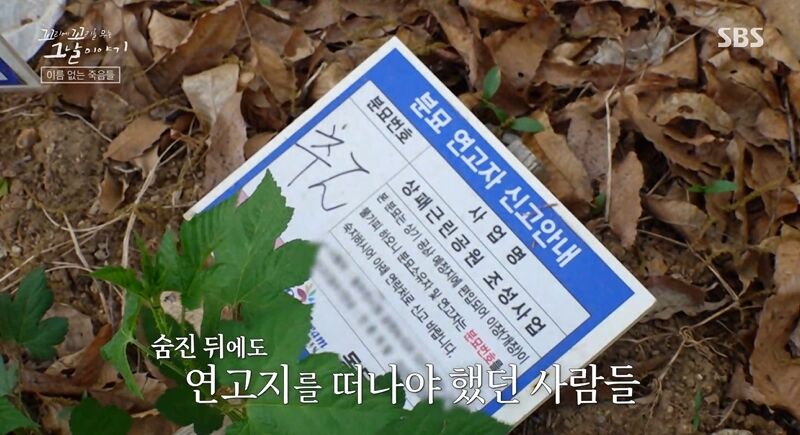 꼬꼬무 찐리뷰 (사진=게티이미지코리아)