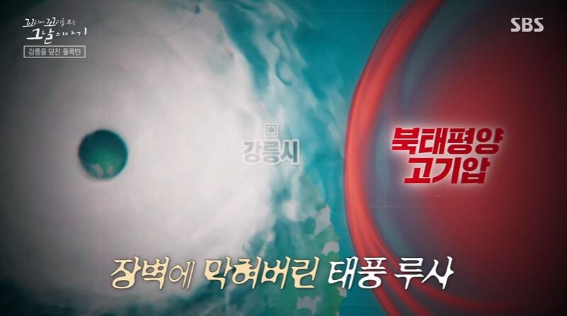 꼬꼬무 찐리뷰 (사진=게티이미지코리아)