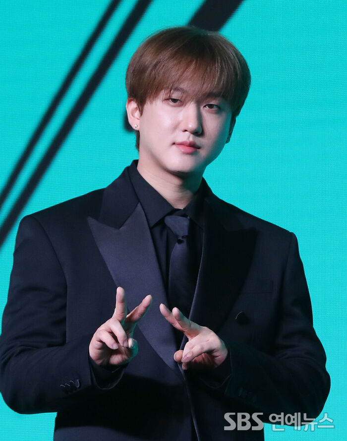 Stray Kids' CHANGBIN Returns to STAY in 'THIS & THAT' Press Conference