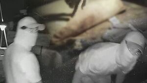 저항도 못 한 채 살해당했다&hellip;범인이 챙긴 '특이한 물건'