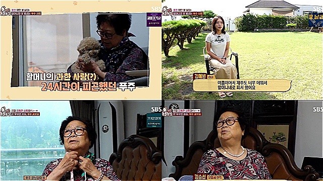 'TV Animal Farm' Delivers Touchingly Special Summer Vacation of 90-Year-Old Grandmother and Canine Grandson Puju