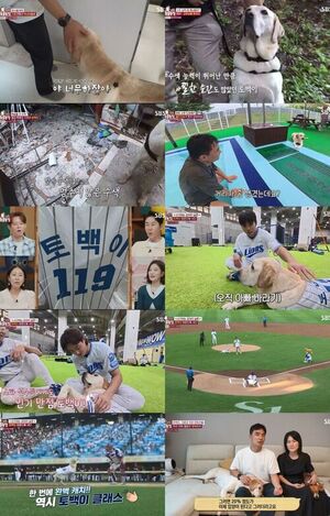 'Animal Farm' Search and Rescue Dog Tobaeki Successfully Throws First Pitch, Peaks at 5.1% in Ratings