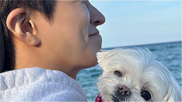 반려견 떠나보낸 갓세븐 영재, 유기견 쉼터에 1000만 원 또 후원
