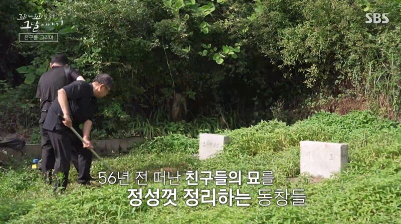 꼬꼬무 찐리뷰 (사진=게티이미지코리아)