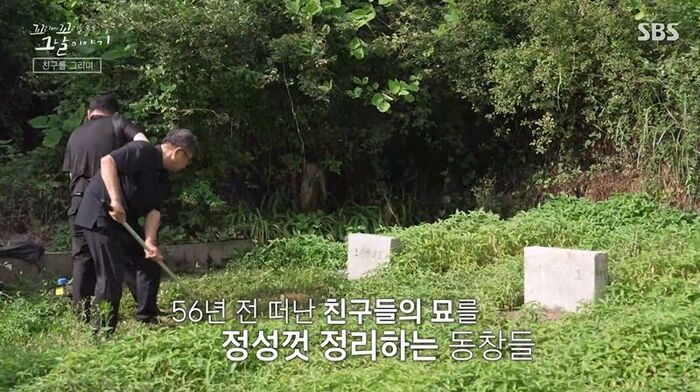 꼬꼬무 찐리뷰 (사진=게티이미지코리아)