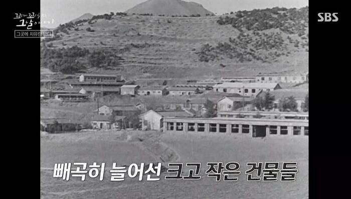 꼬꼬무 찐리뷰 (사진=게티이미지코리아)