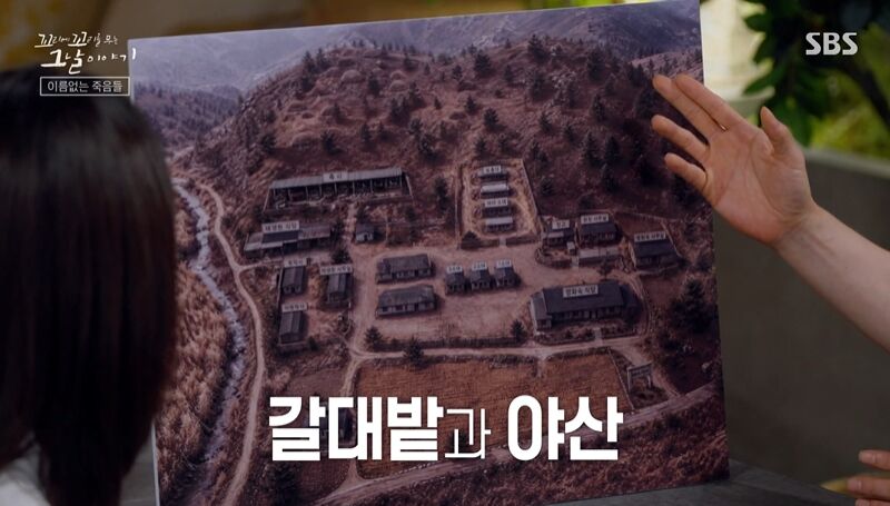 꼬꼬무 찐리뷰 (사진=게티이미지코리아)