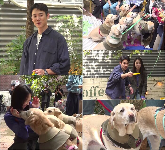 'Look at Those Eyes': Yoo Yeonseok and Seo Hyun-jin Gear Up as 'Whenever Possible' Welcomes First Canine 'Gap Hosts'