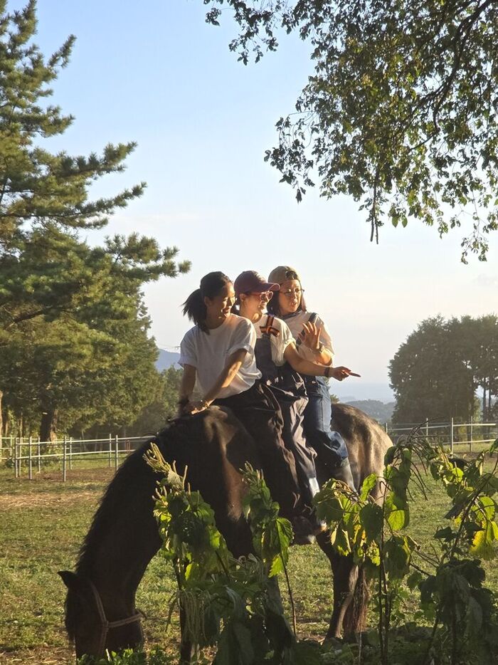 Girls' Generation Yuri·OH MY GIRL MIMI·Kim Sook Reveal Unpredictable Chemistry in SBS Pilot 'Kareum Stay'